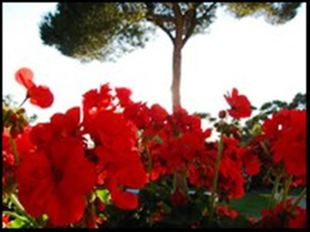 Bed and Breakfast La Tangana Rognes Екстер'єр фото